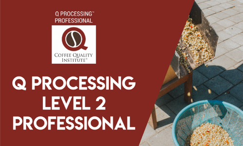 Q Processing Level 2 – Professional